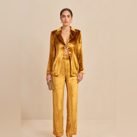 cult gaia Pants - Cult Gaia Jeorge Pants Size 8 Gold Velvet